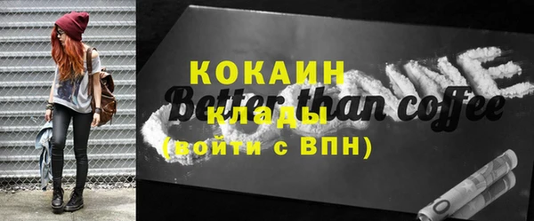 гашик Корсаков