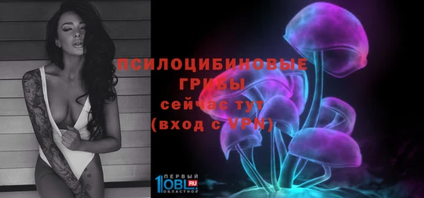 гашик Корсаков