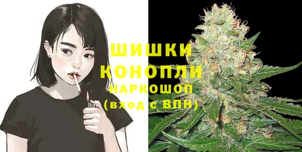 гашик Корсаков