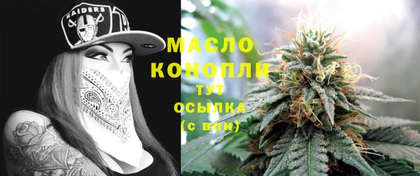 гашик Корсаков