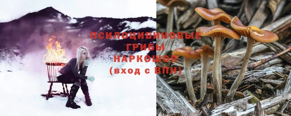 спайс Коряжма