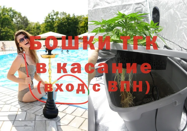 гашик Корсаков